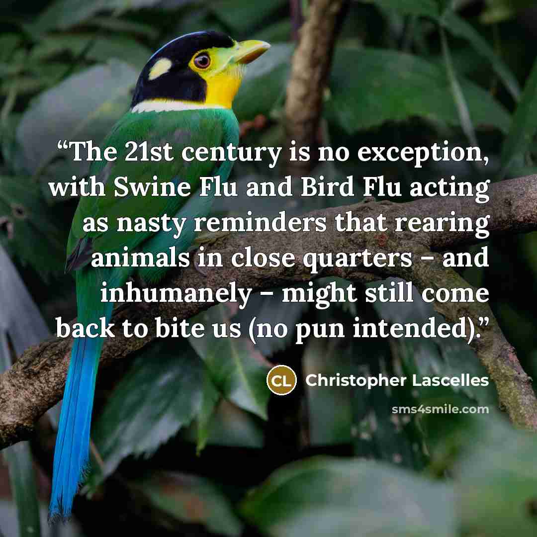 “The 21st century is no exception, with Swine Flu and Bird Flu acting as nasty reminders that rearing animals in close quarters – and inhumanely – might still come back to bite us (no pun intended).” quote by Christopher Lascelles