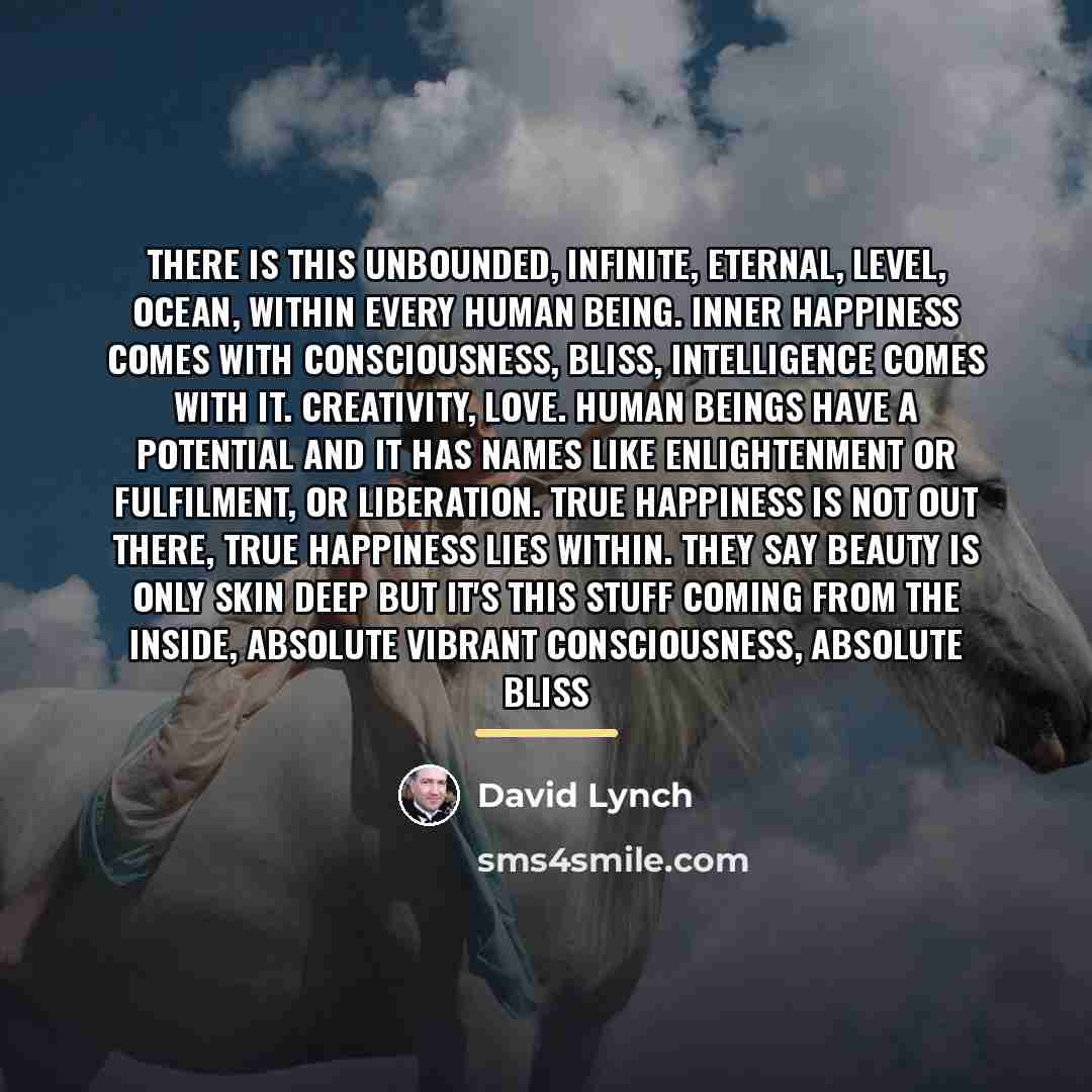 “There is this unbounded, infinite, eternal, level, ocean, within every…” quote by David Lynch