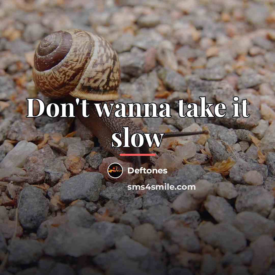 “Don't wanna take it slow…” quote by Deftones