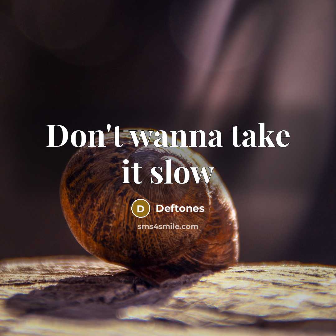 “Don't wanna take it slow” quote by Deftones