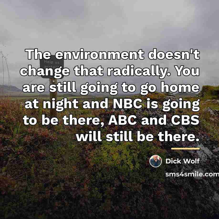 “The environment doesn't change that radically. You are still going…” quote by Dick Wolf