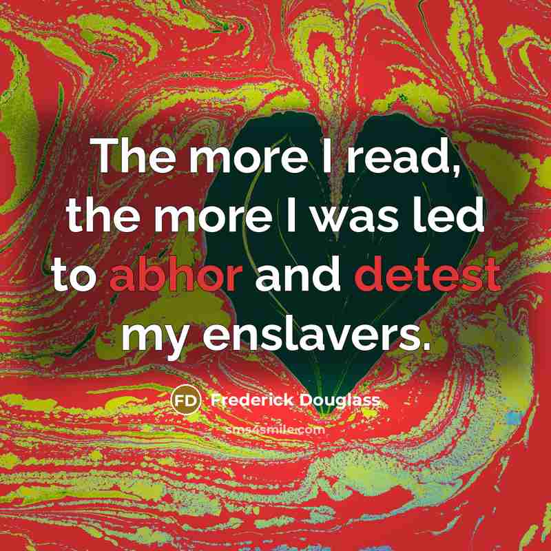 “The more I read, the more I was led to abhor and detest my enslavers.” quote by Frederick Douglass