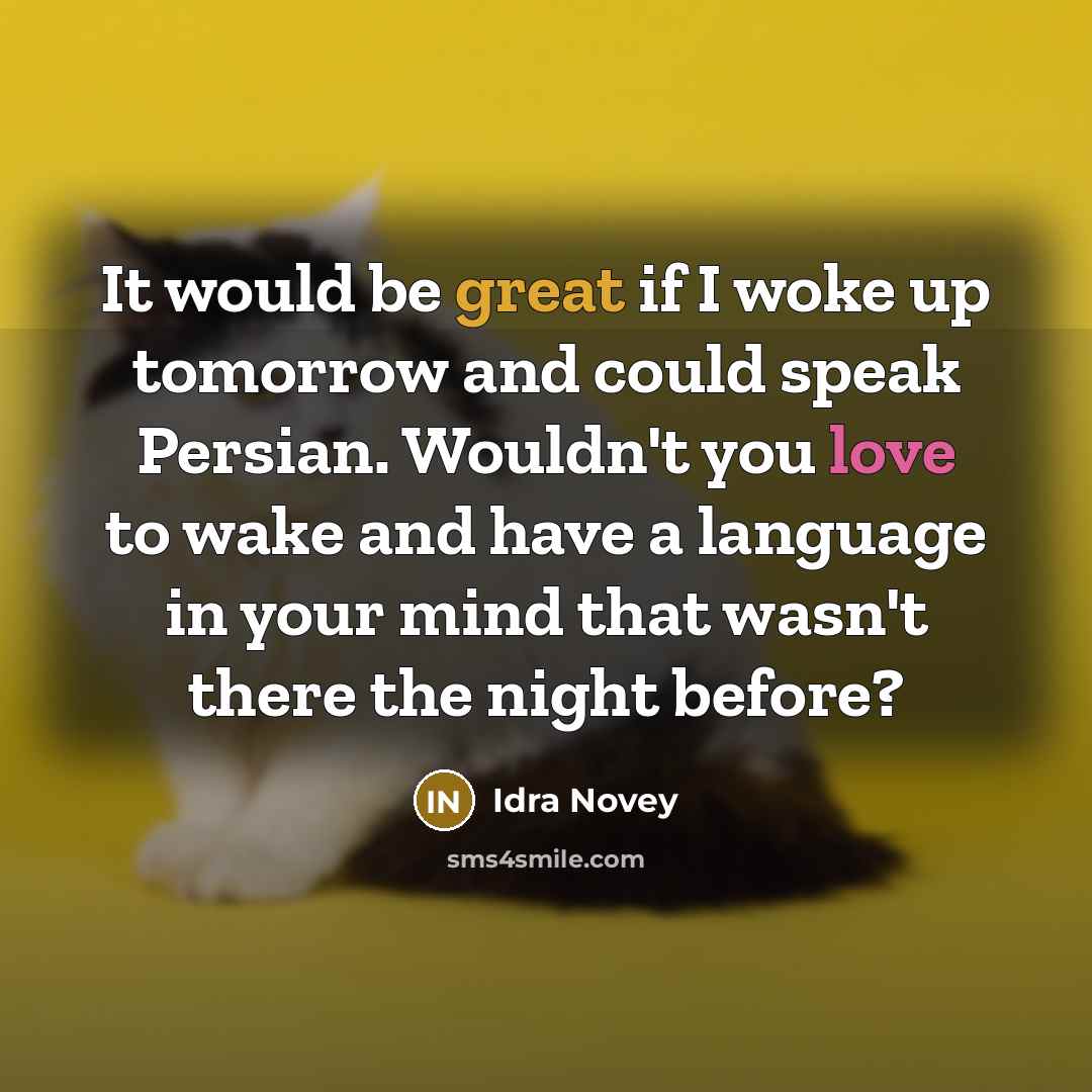 “It would be great if I woke up tomorrow and…” quote by Idra Novey