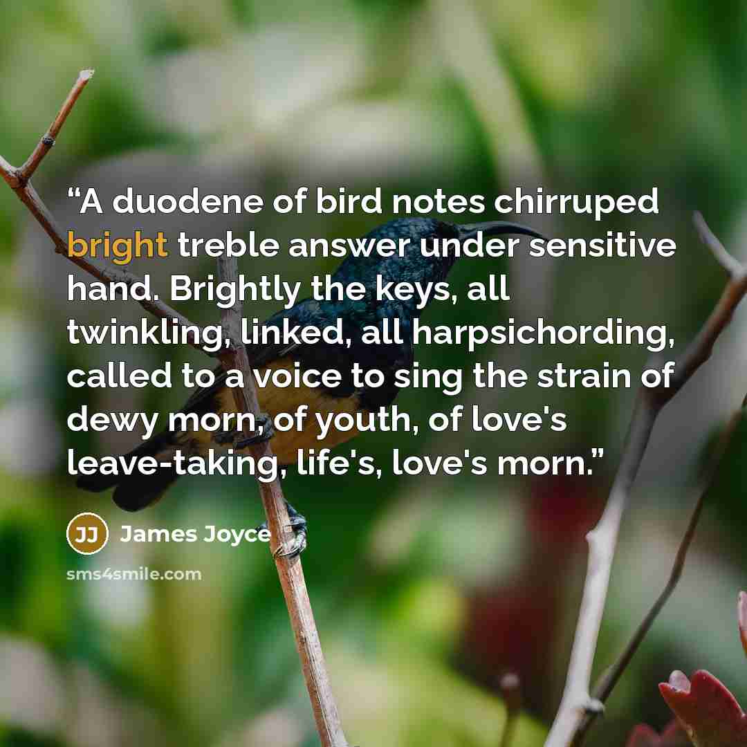 “A duodene of bird notes chirruped bright treble answer under sensitive hand. Brightly the keys, all twinkling, linked, all harpsichording, called to a voice to sing the strain of dewy morn, of youth, of love's leave-taking, life's, love's morn.” quote by James Joyce