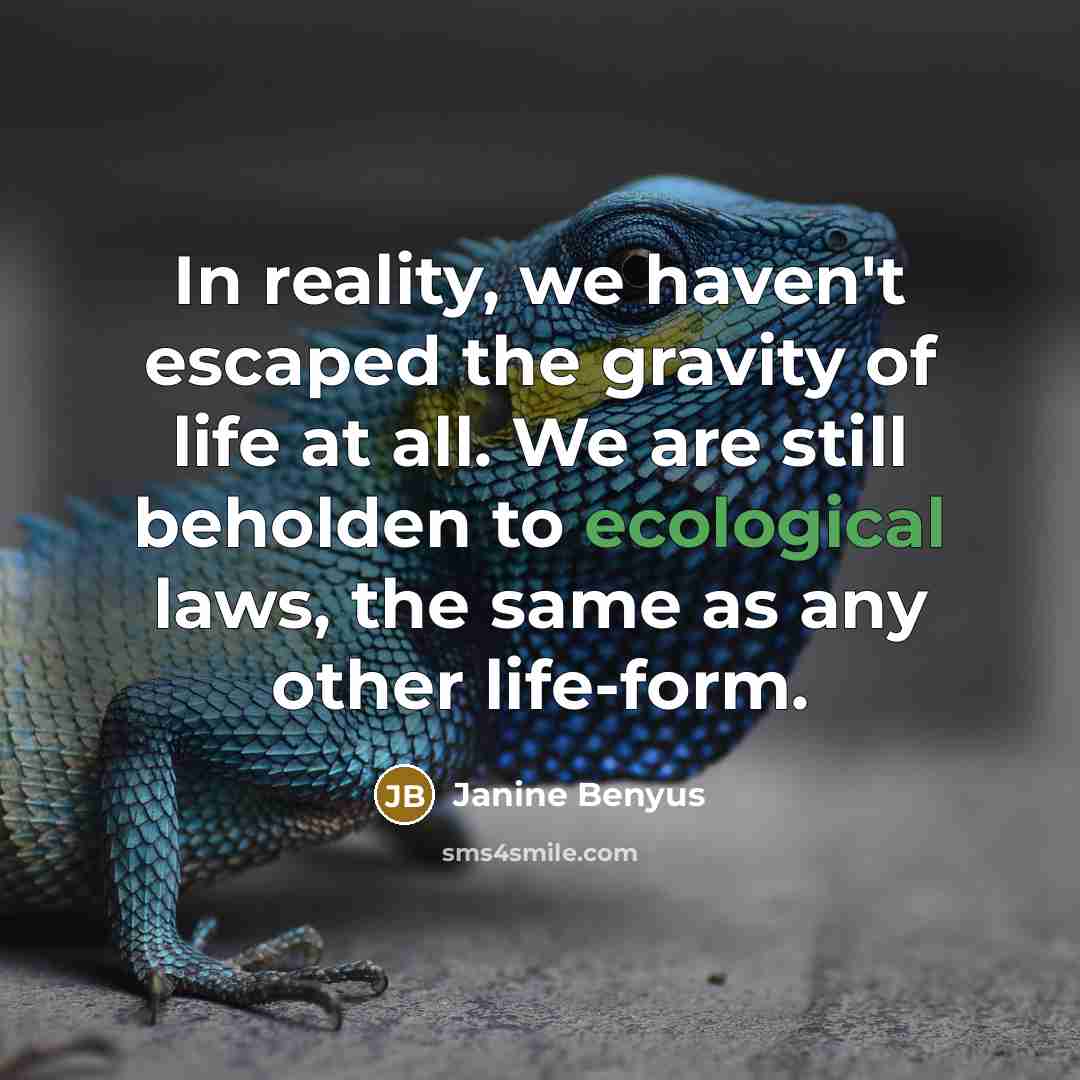 “In reality, we haven't escaped the gravity of life at…” quote by Janine Benyus