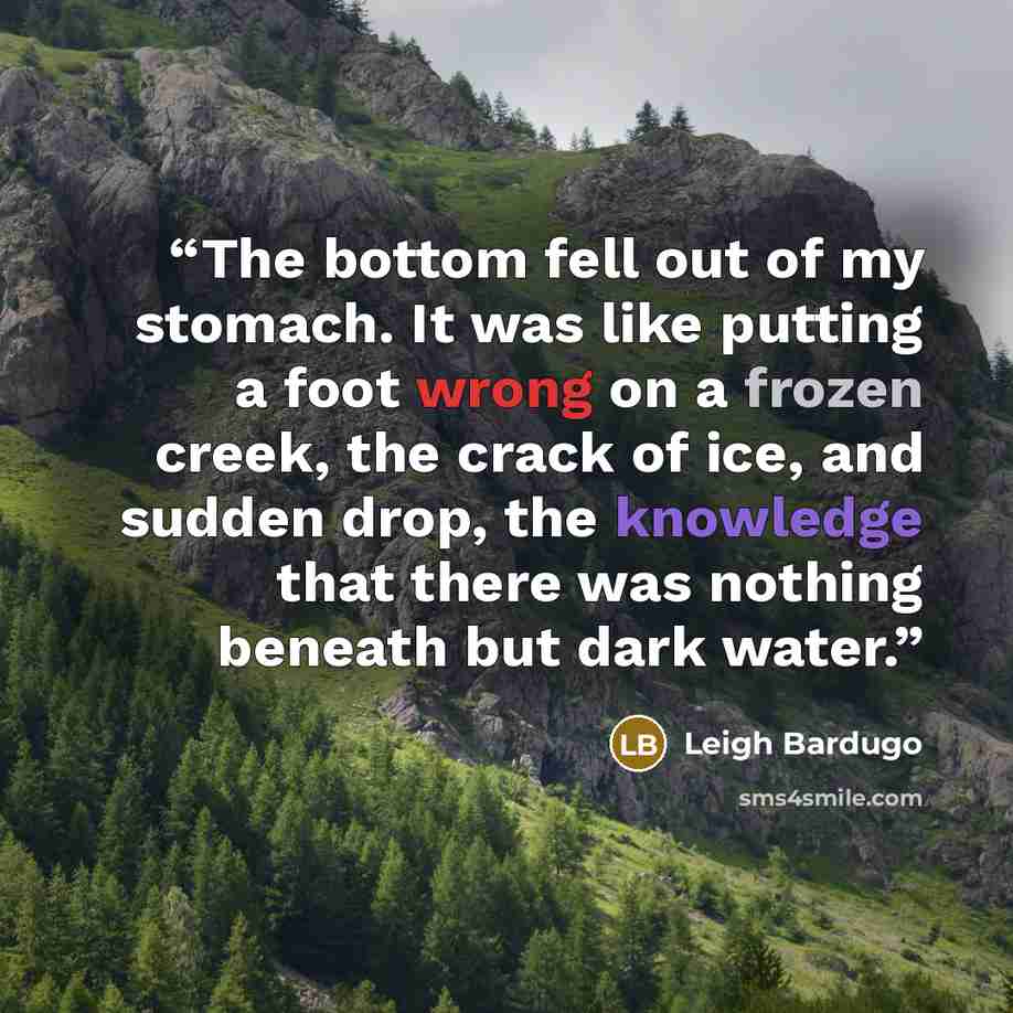 “The bottom fell out of my stomach. It was like putting a foot wrong on a frozen creek, the crack of ice, and sudden drop, the knowledge that there was nothing beneath but dark water.” quote by Leigh Bardugo