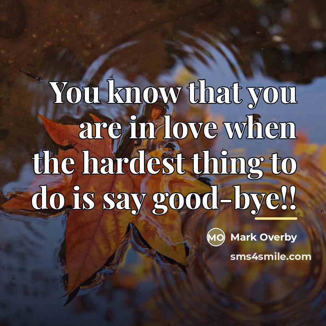 “You know that you are in love when the hardest…” quote by Anonymous