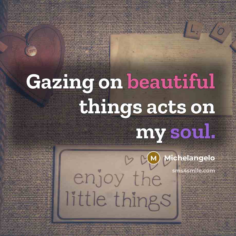 “Gazing on beautiful things acts on my soul.…” quote by Michelangelo