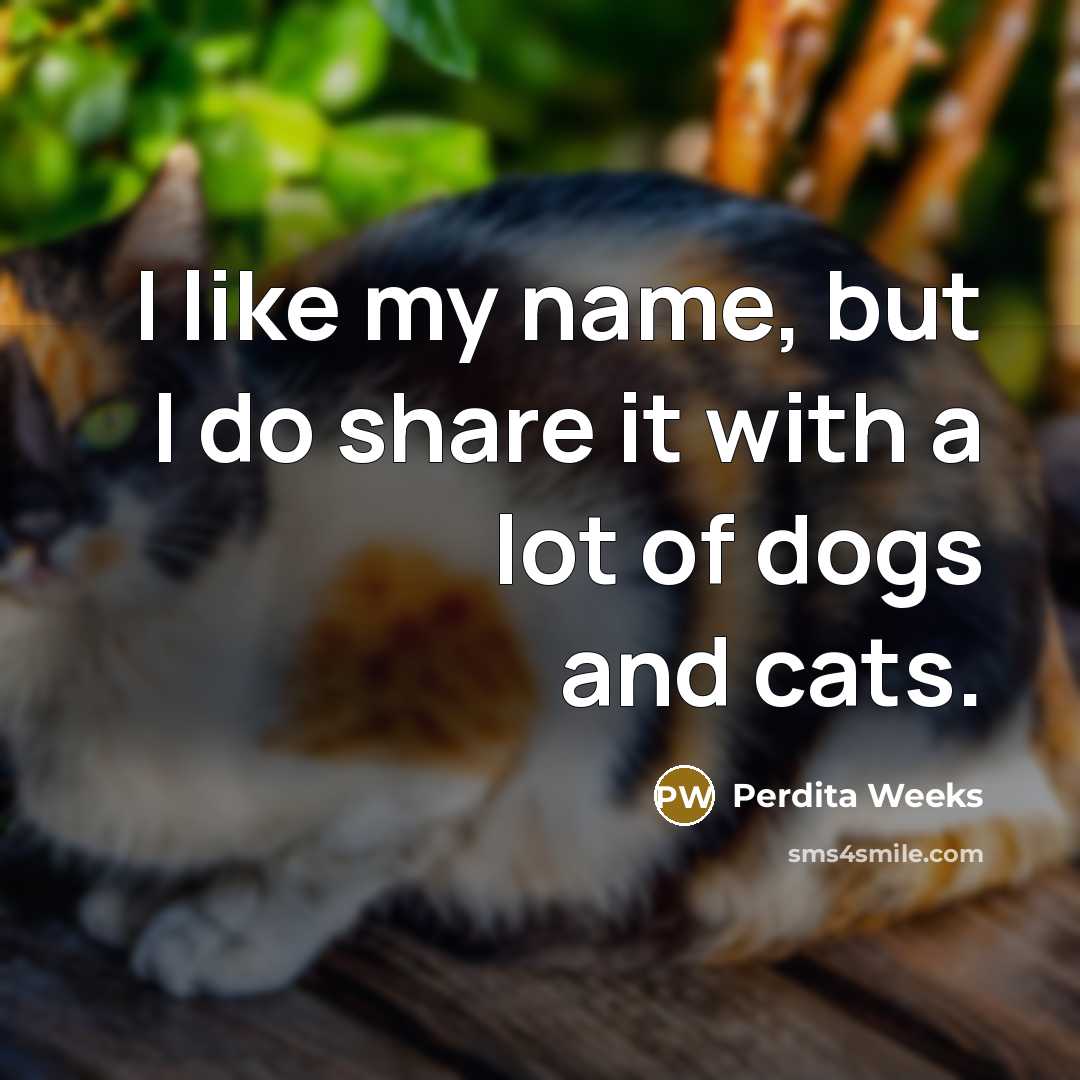 “I like my name, but I do share it with…” quote by Perdita Weeks