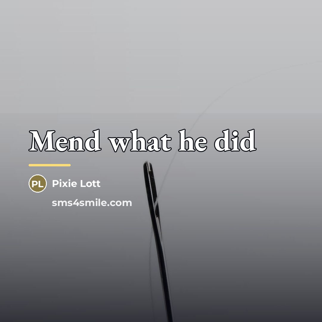 “Mend what he did…” quote by Pixie Lott