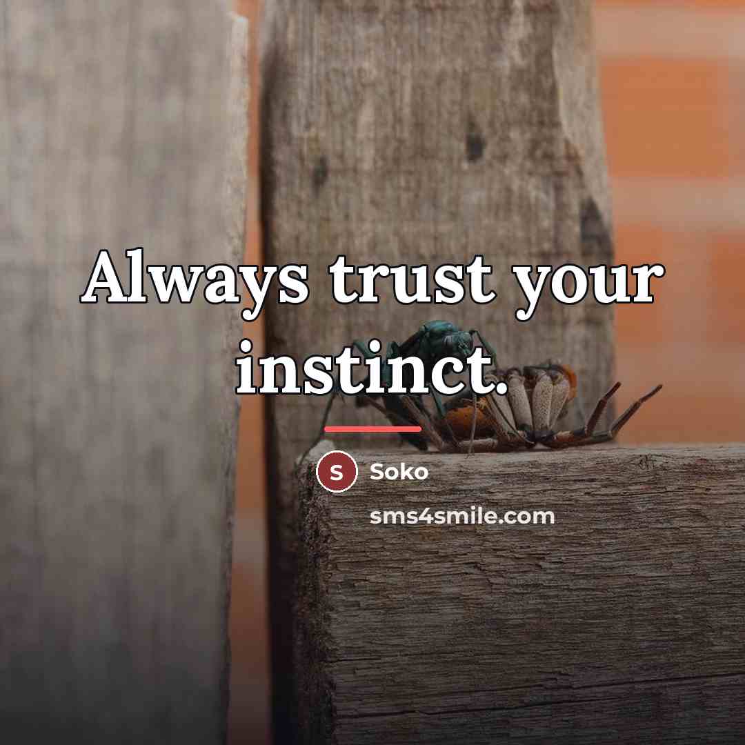 “Always trust your instinct.…” quote by Soko