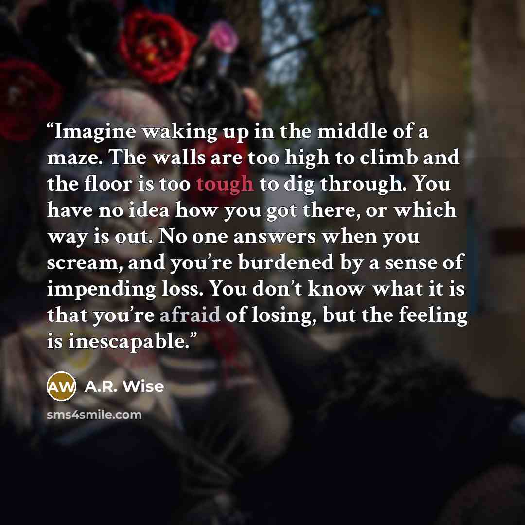 “Imagine waking up in the middle of a maze. The walls are too high to climb and the floor is too tough to dig through. You have no idea how you got there, or which way is out. No one answers when you scream, and you’re burdened by a sense of impending loss. You don’t know what it is that you’re…” quote by A.R. Wise