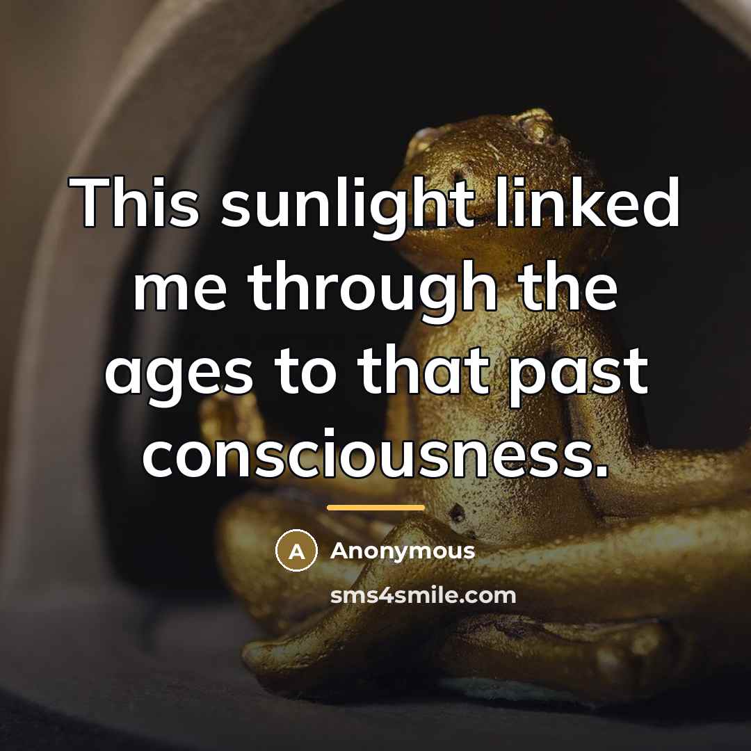 “This sunlight linked me through the ages to that past…” quote by Anonymous
