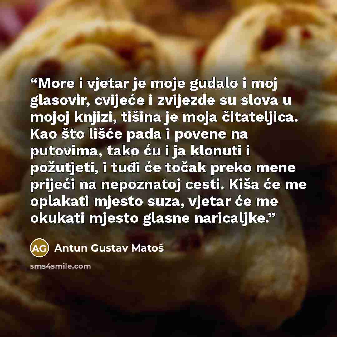 “More i vjetar je moje gudalo i moj glasovir, cvijeće i zvijezde su slova u mojoj knjizi, tišina je moja čitateljica. Kao što lišće pada i povene na putovima, tako ću i ja klonuti i požutjeti, i tuđi će točak preko mene prijeći na nepoznatoj cesti. Kiša će me oplakati mjesto suza, vjetar će me…” quote by Antun Gustav Matoš
