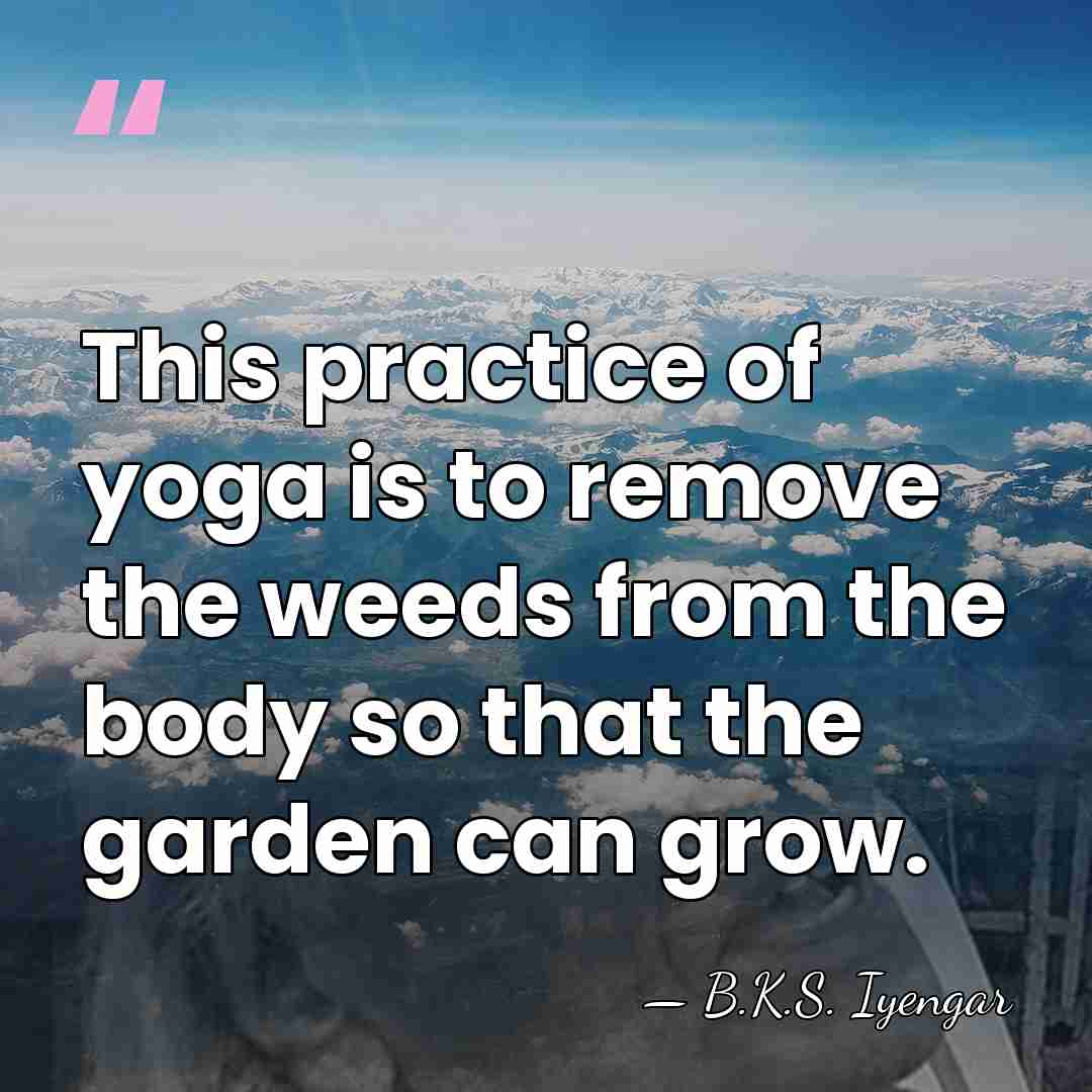 This practice of yoga is to remove the weeds from the body&hellip; - B.K.S. Iyengar