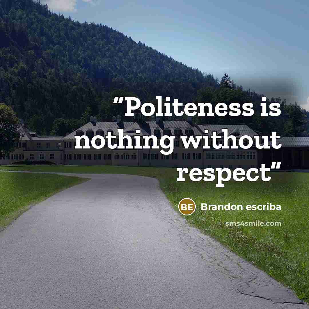 “Politeness is nothing without respect” quote by Brandon escriba