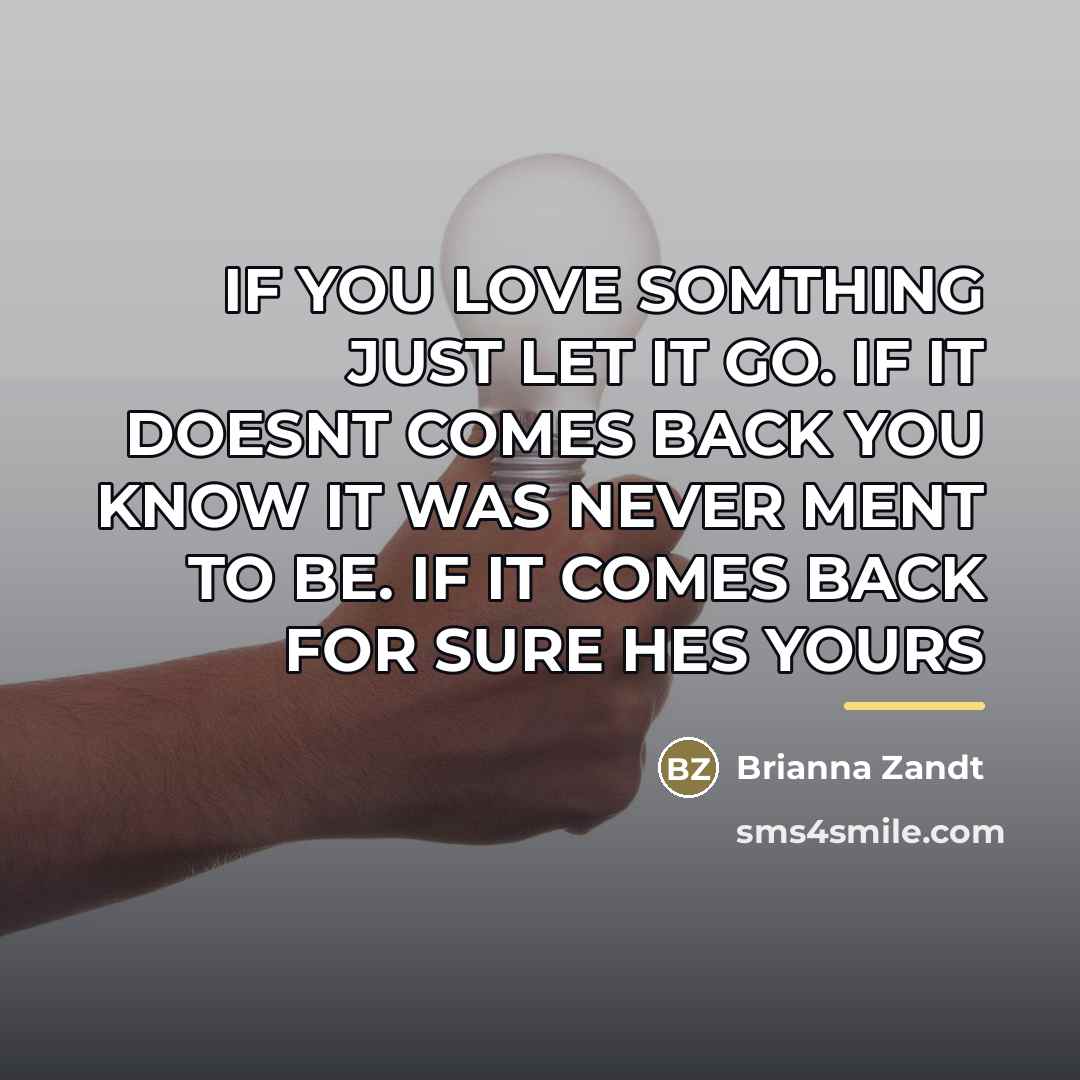 “IF YOU LOVE SOMTHING JUST LET IT GO. IF IT…” quote by Brianna Zandt
