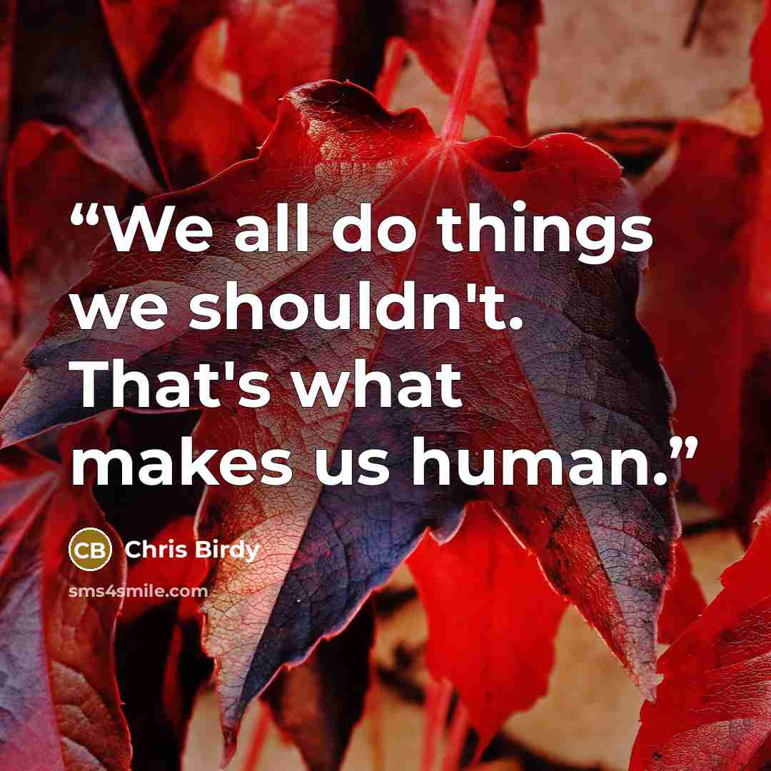 “We all do things we shouldn't. That's what makes us human.” quote by Chris Birdy