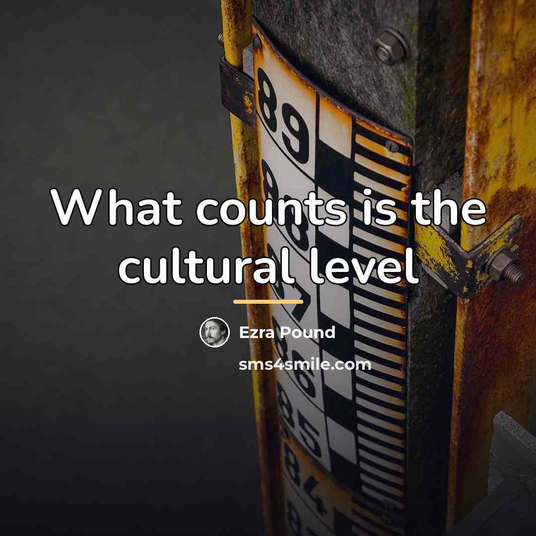 “What counts is the cultural level…” quote by Ezra Pound