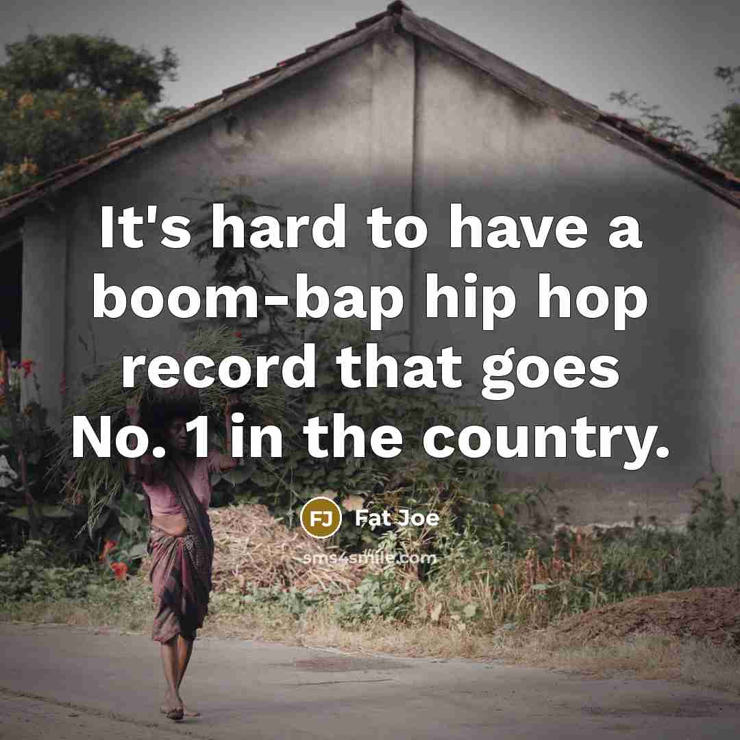 “It's hard to have a boom-bap hip hop record that…” quote by Fat Joe