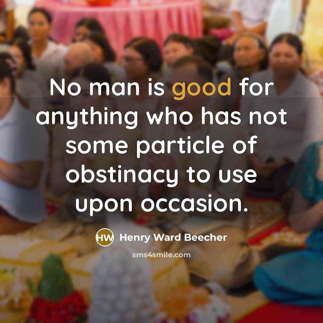 “No man is good for anything who has not some…” quote by Henry Ward Beecher
