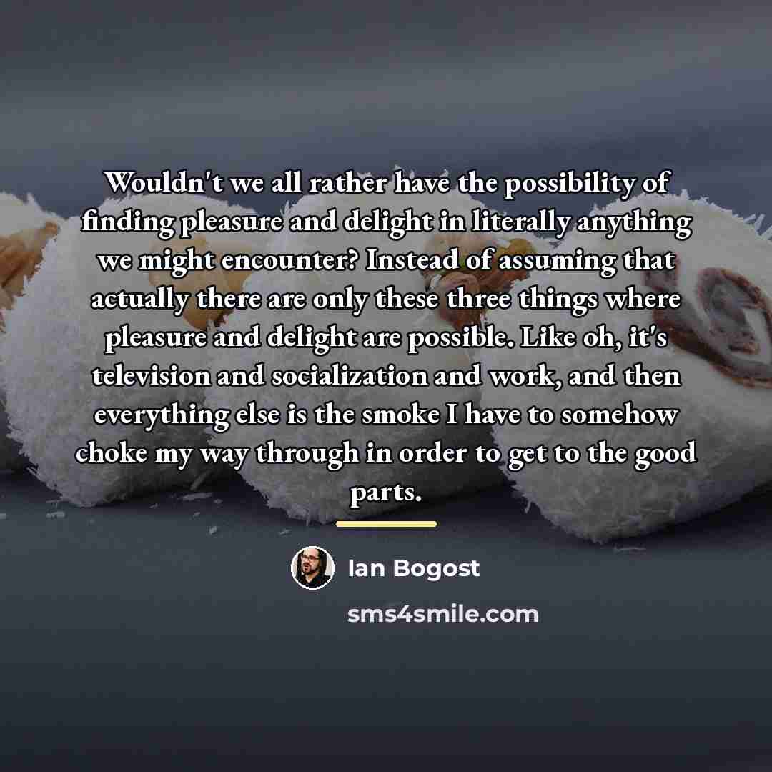 “Wouldn't we all rather have the possibility of finding pleasure…” quote by Ian Bogost