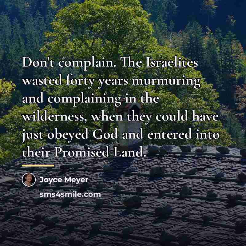 “Don't complain. The Israelites wasted forty years murmuring and complaining…” quote by Joyce Meyer