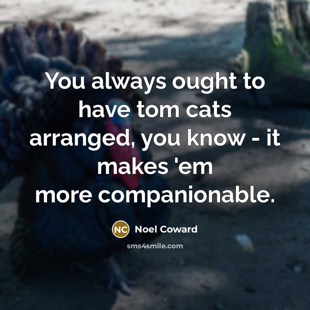 “You always ought to have tom cats arranged, you know…” quote by Noel Coward