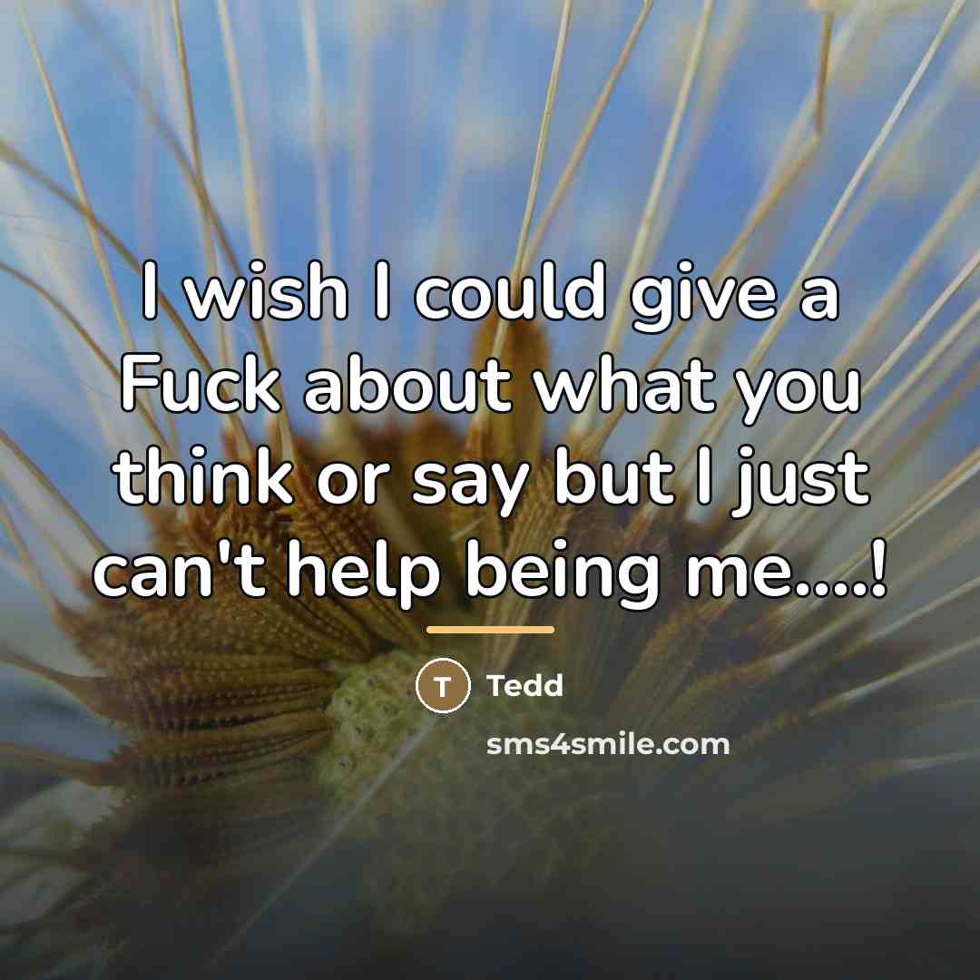 “I wish I could give a Fuck about what you…” quote by Tedd