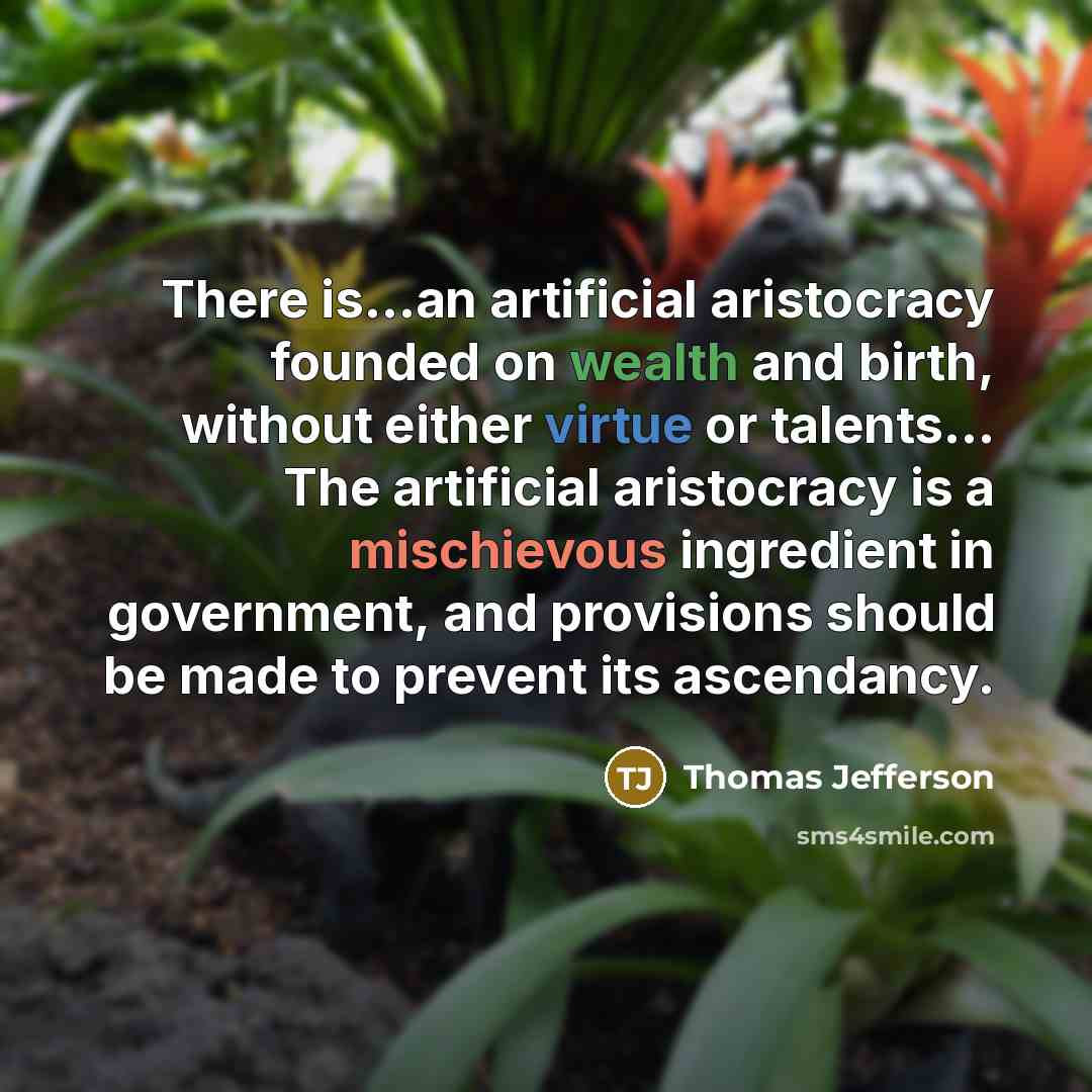 “There is...an artificial aristocracy founded on wealth and birth, without either virtue or talents… The artificial aristocracy is a mischievous ingredient in government, and provisions should be made to prevent its ascendancy.” quote by Thomas Jefferson