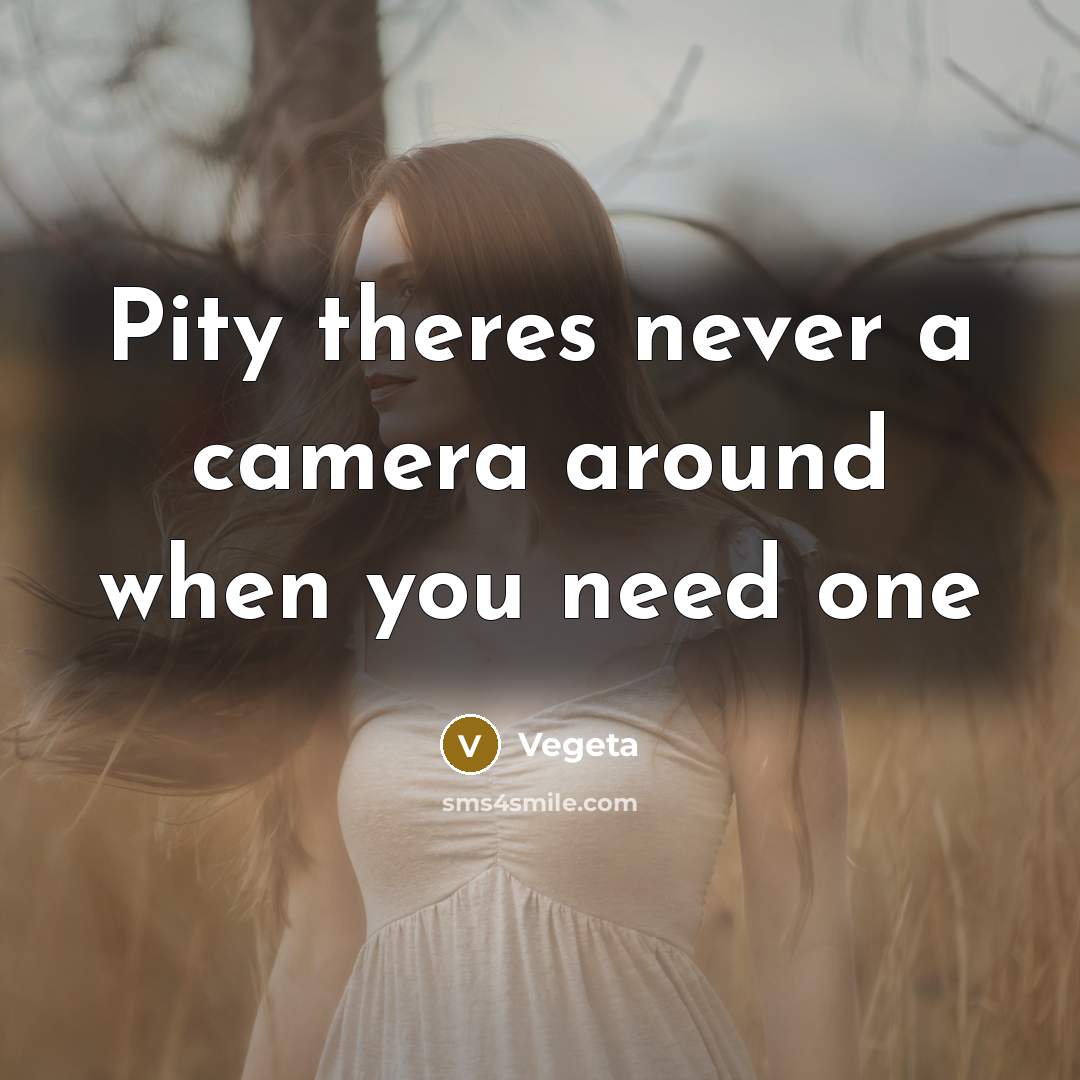 “Pity theres never a camera around when you need one” quote by Vegeta