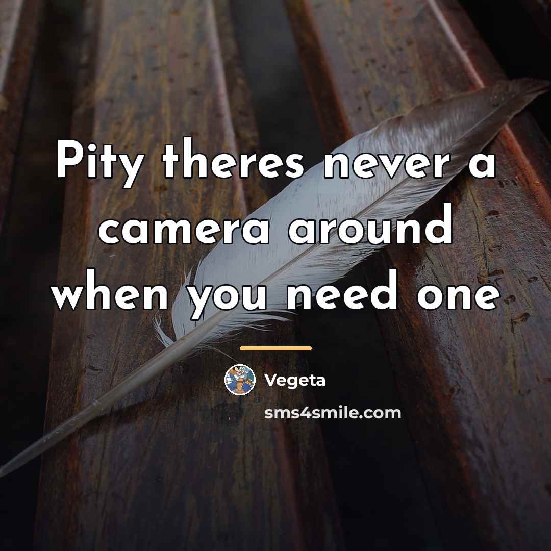 “Pity theres never a camera around when you need one…” quote by Vegeta