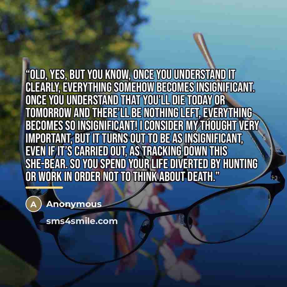 “Old, yes, but you know, once you understand it clearly, everything somehow becomes insignificant. Once you understand that you’ll die today or tomorrow and there’ll be nothing left, everything becomes so insignificant! I consider my thought very important, but it turns out to be as insignificant…” quote by Anonymous
