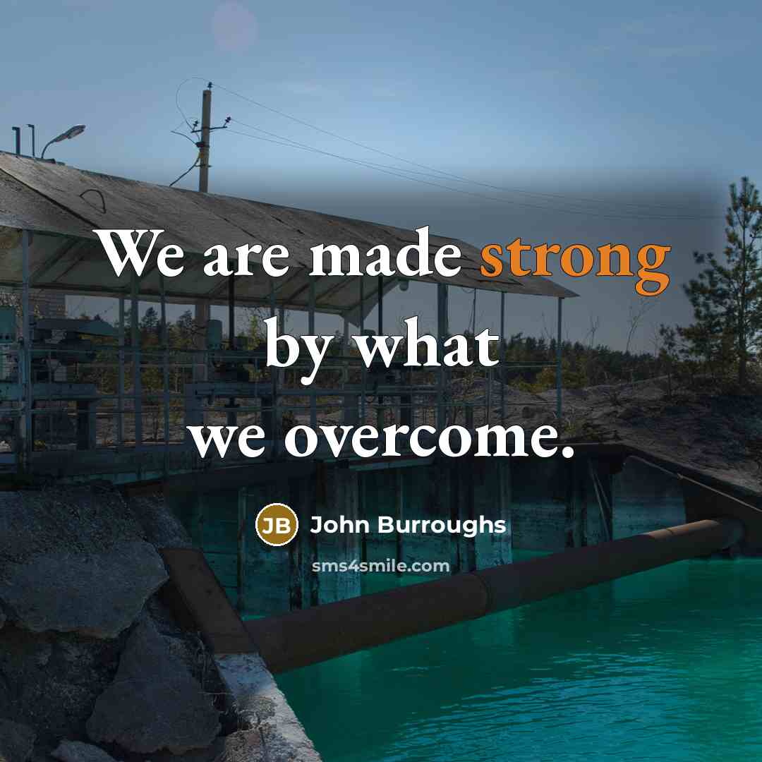 “We are made strong by what we overcome.…” quote by John Burroughs