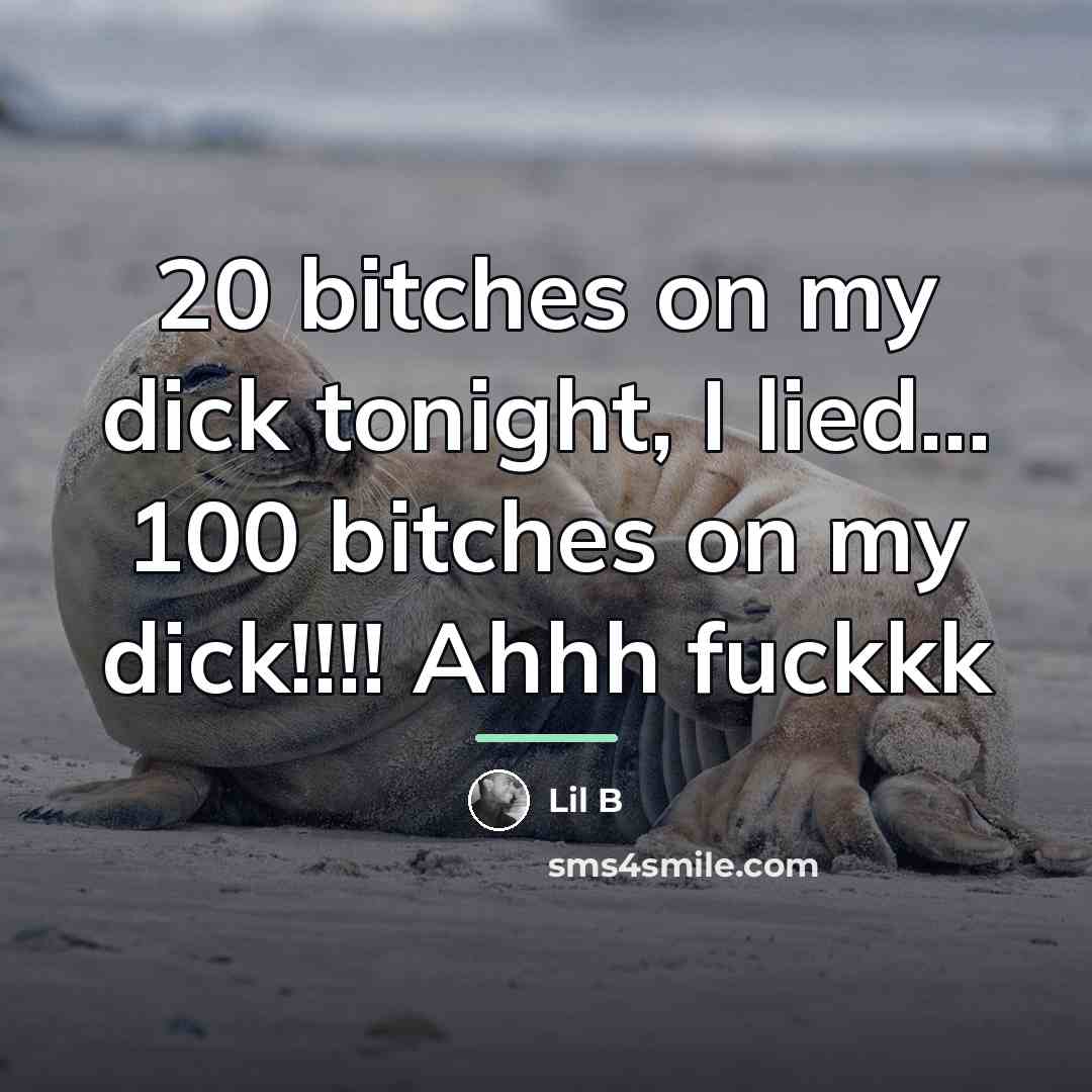 “20 bitches on my dick tonight, I lied... 100 bitches…” quote by Lil B