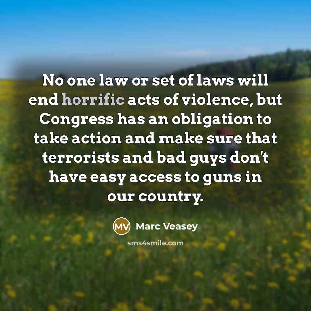 “No one law or set of laws will end horrific…” quote by Marc Veasey