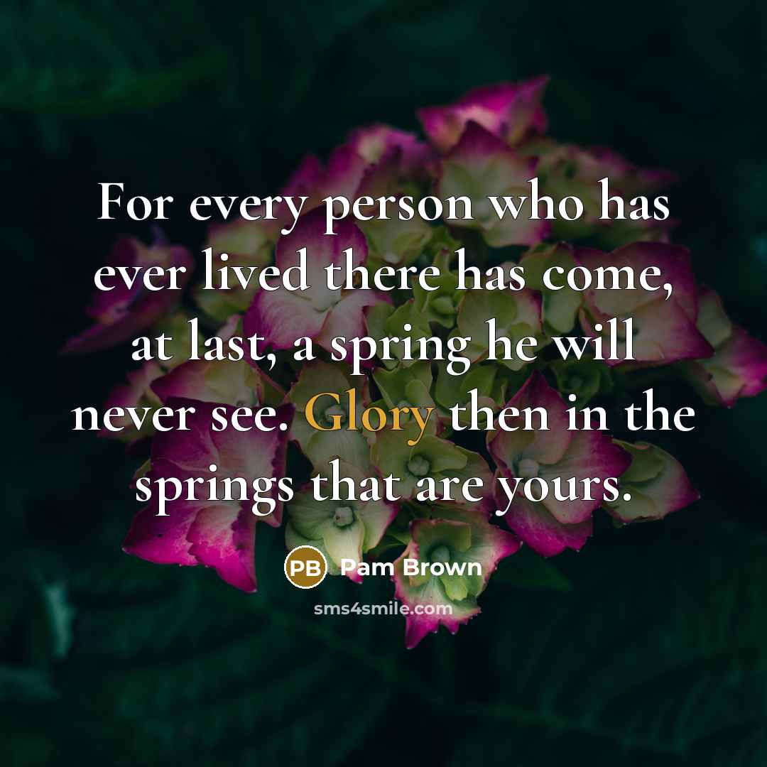 “For every person who has ever lived there has come,…” quote by Pam Brown