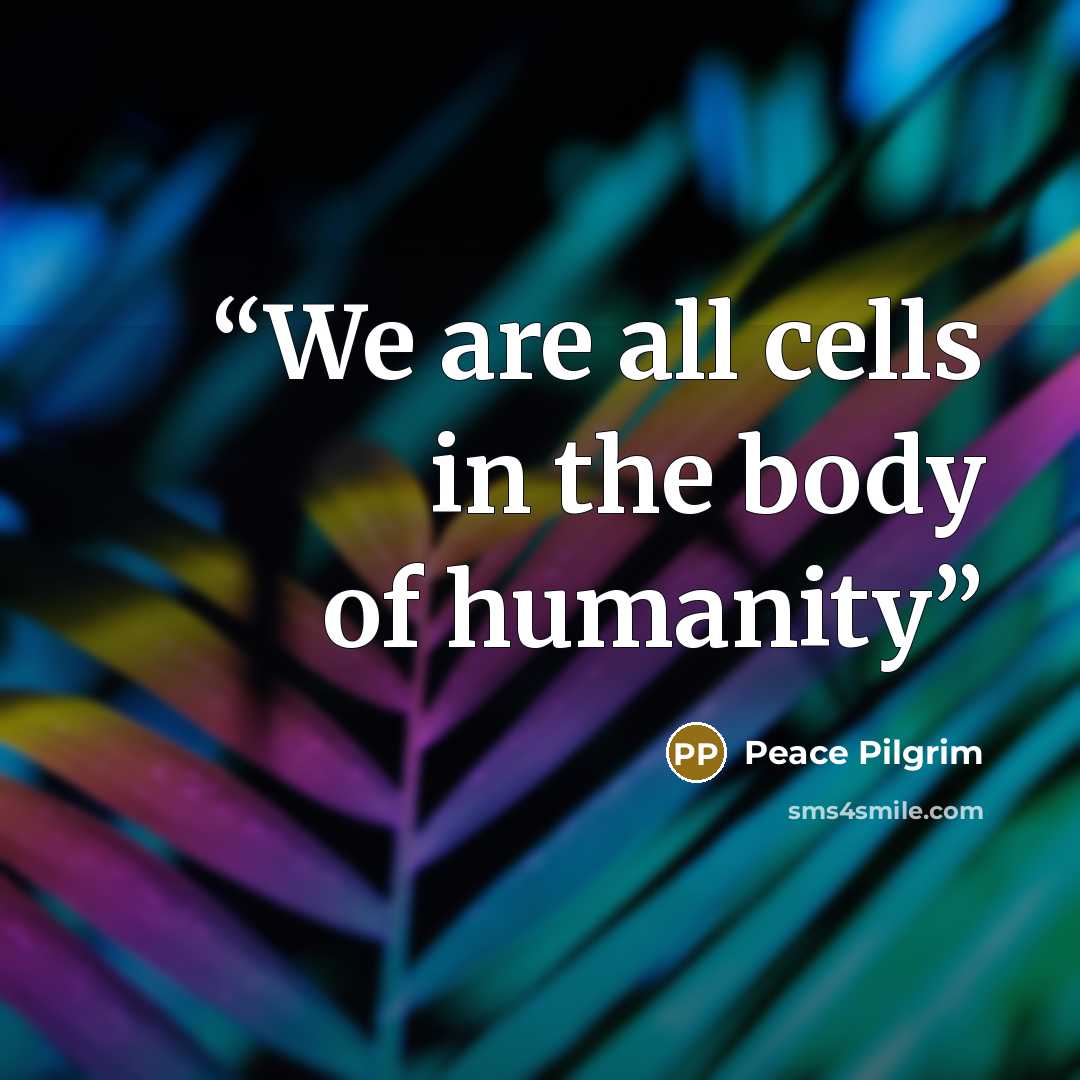 “We are all cells in the body of humanity” quote by peace pilgrim