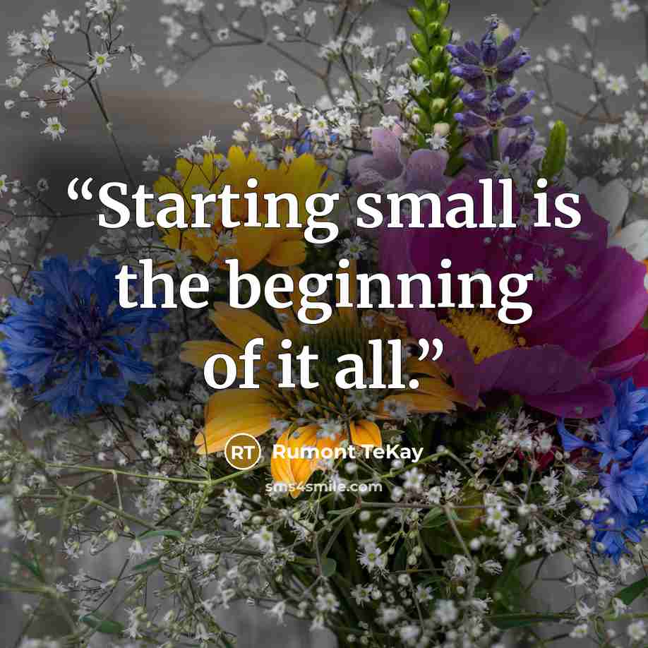 “Starting small is the beginning of it all.” quote by Rumont TeKay