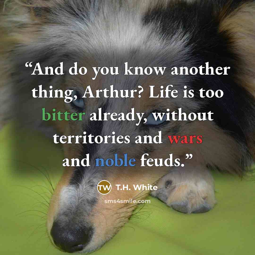 “And do you know another thing, Arthur? Life is too bitter already, without territories and wars and noble feuds.” quote by T.H. White