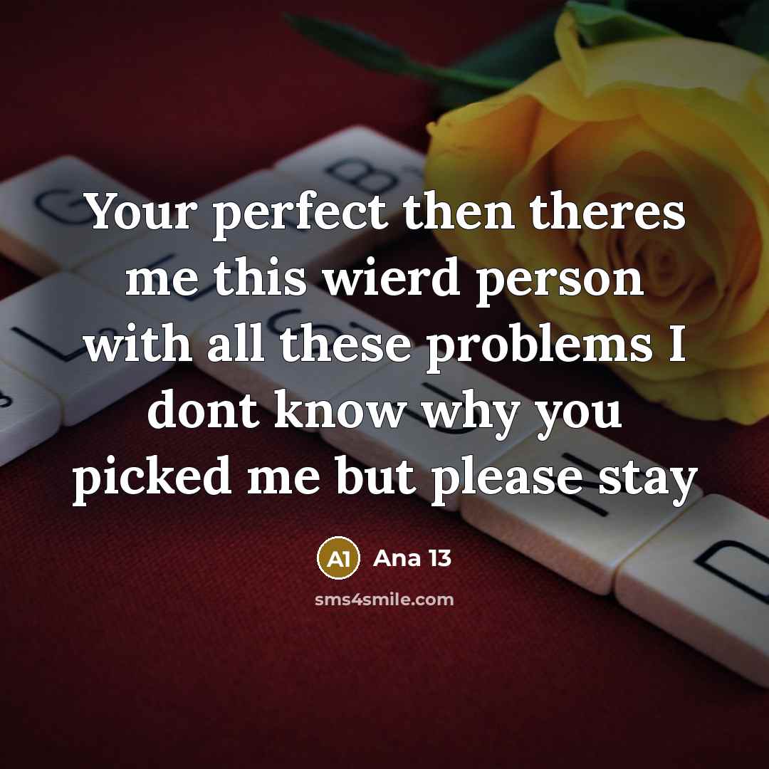 “Your perfect then theres me this wierd person with all these problems I dont know why you picked me but please stay” quote by Ana 13