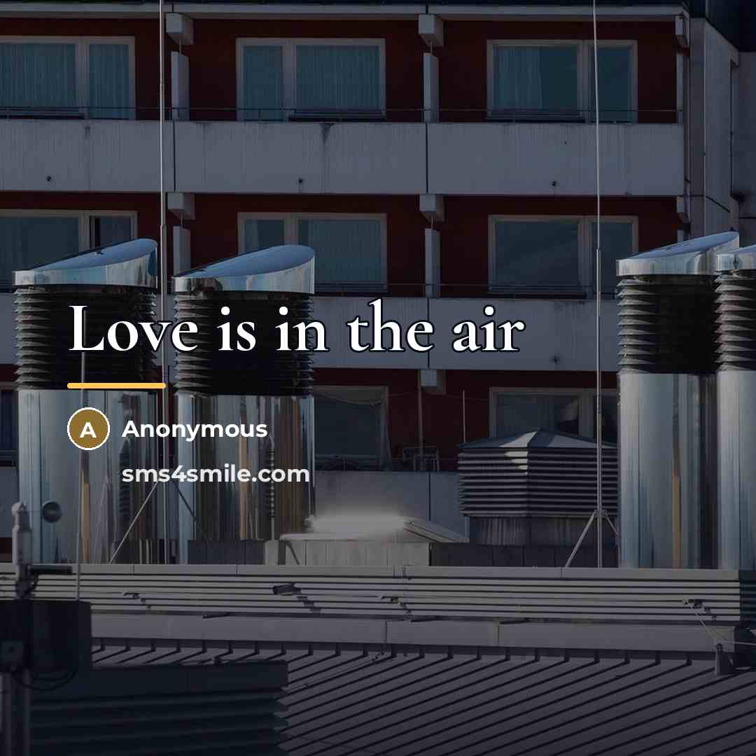 “Love is in the air…” quote by Anonymous