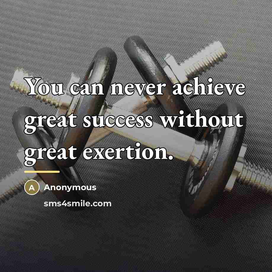 “You can never achieve great success without great exertion.…” quote by Anonymous