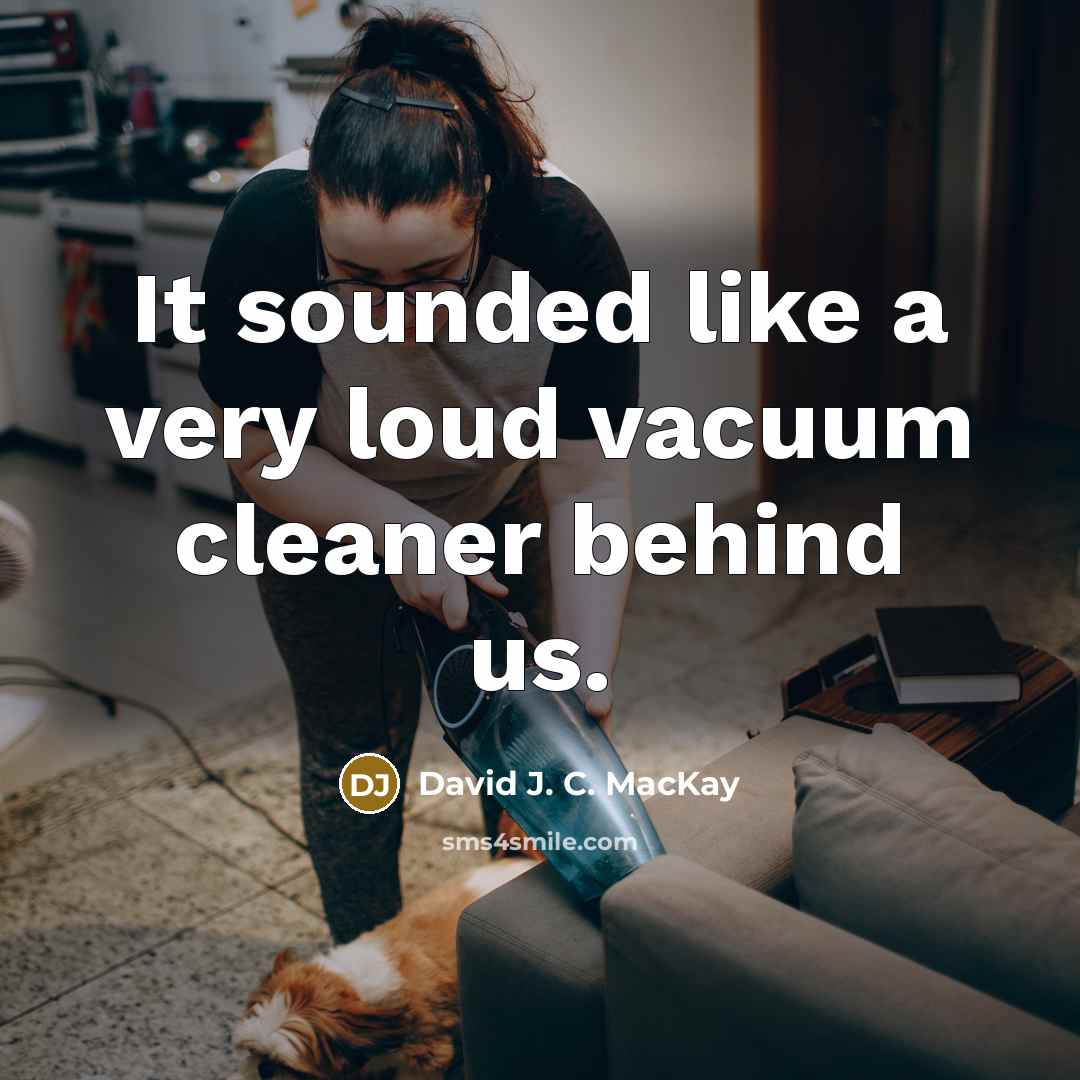 “It sounded like a very loud vacuum cleaner behind us.…” quote by David J. C. MacKay