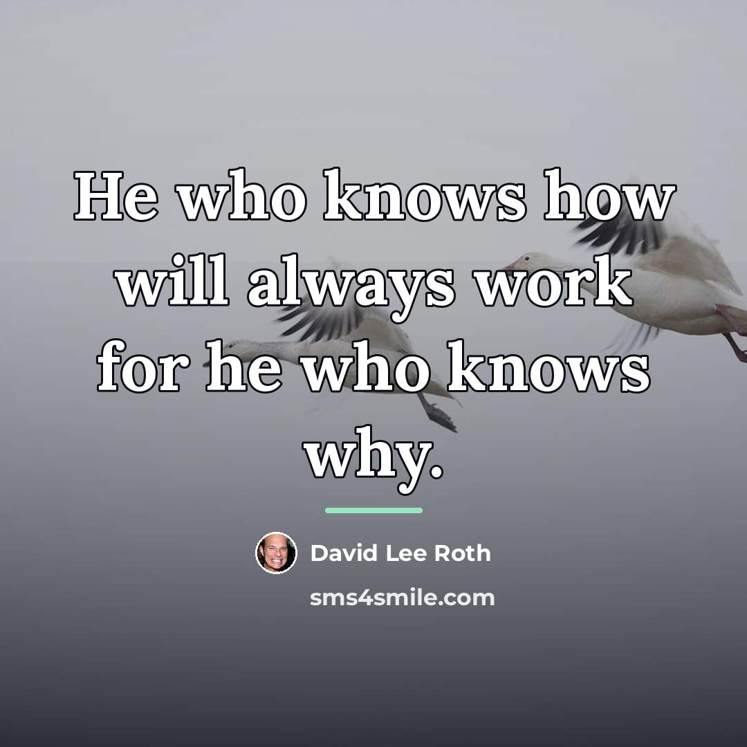 “He who knows how will always work for he who…” quote by David Lee Roth