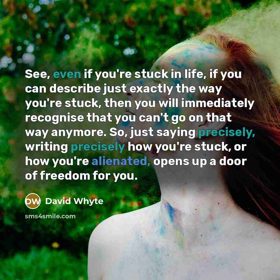 “See, even if you're stuck in life, if you can…” quote by David Whyte