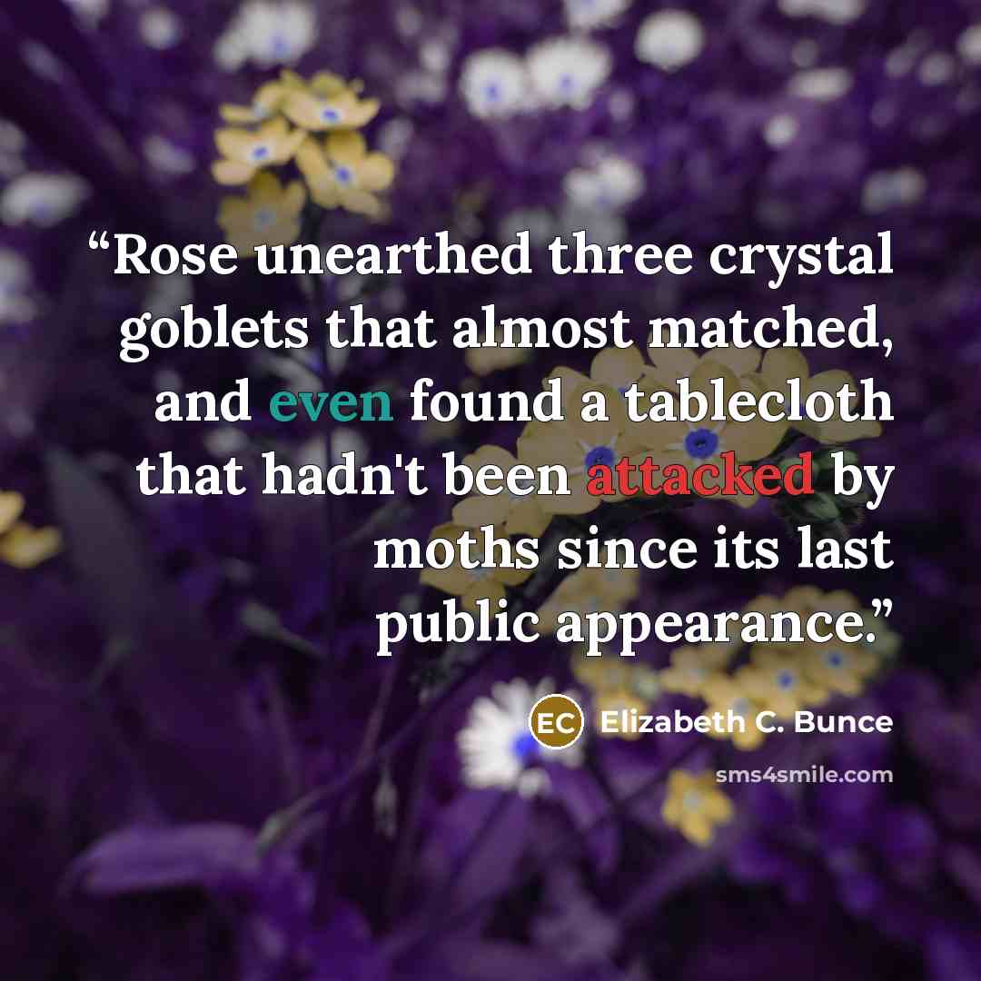 “Rose unearthed three crystal goblets that almost matched, and even found a tablecloth that hadn't been attacked by moths since its last public appearance.” quote by Elizabeth C. Bunce