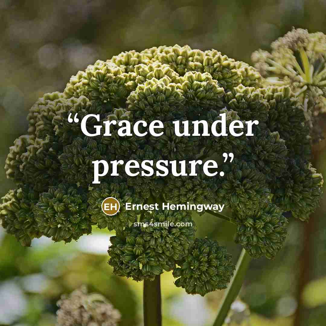 “Grace under pressure.” quote by Ernest Hemingway