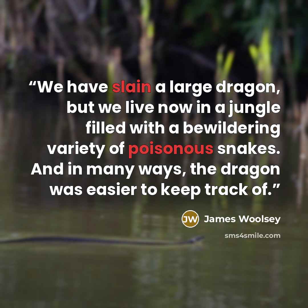 “We have slain a large dragon, but we live now in a jungle filled with a bewildering variety of poisonous snakes. And in many ways, the dragon was easier to keep track of.” quote by James Woolsey