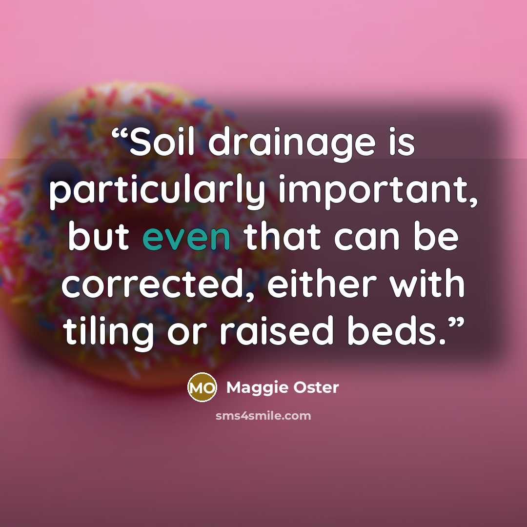 “Soil drainage is particularly important, but even that can be corrected, either with tiling or raised beds.” quote by Maggie Oster